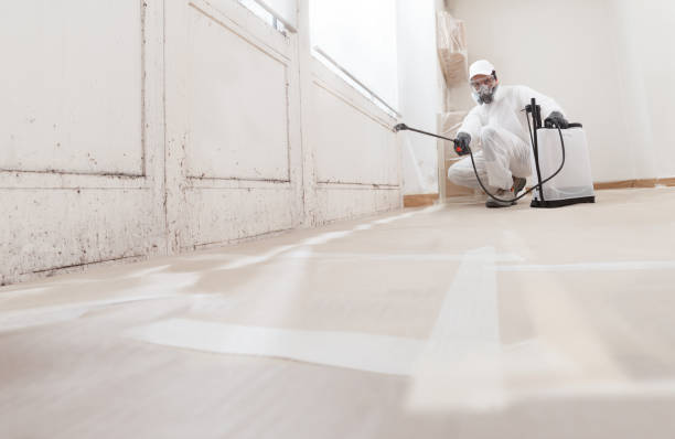 24/7 Emergency Attic Mold Remediation experts in Somerset, KY