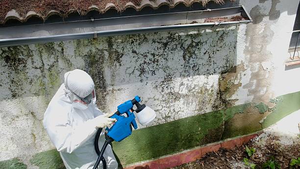 Top rated local Attic Mold Remediation specialists in Somerset, KY